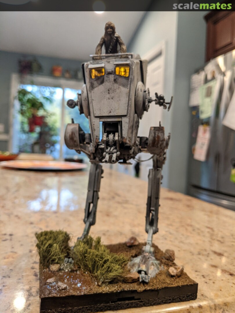 View album, image #1 View album, image #1