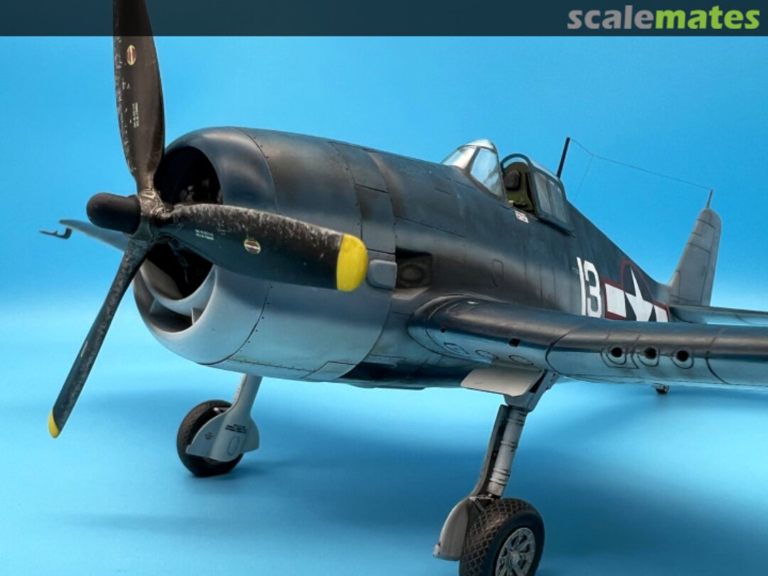 View album, image #1 View album, image #1