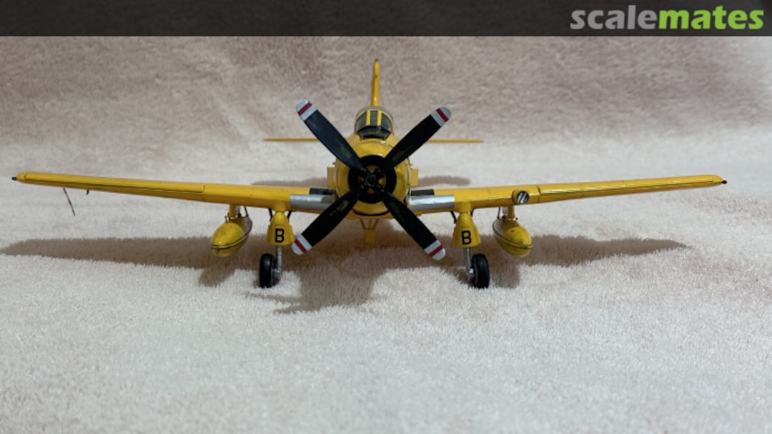 View album, image #1 View album, image #1