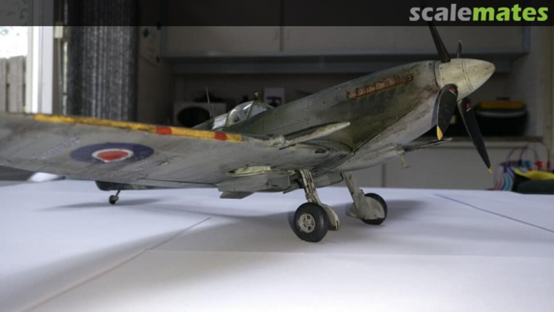 View album, image #2 View album, image #2