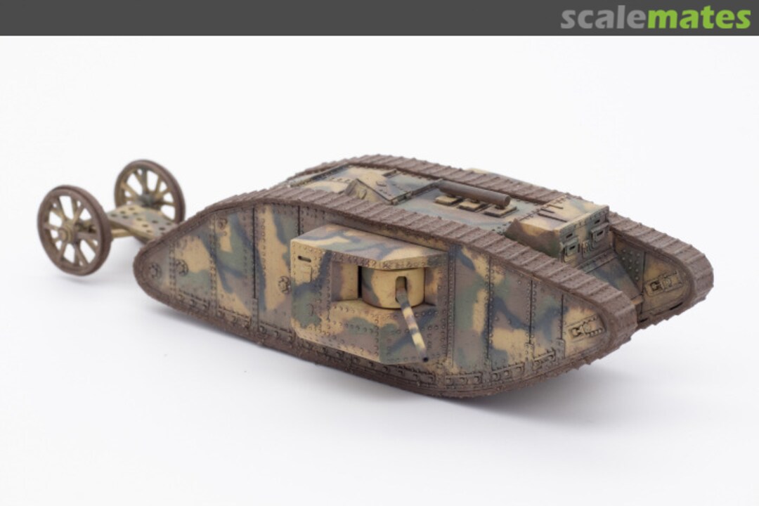 View album, image #2