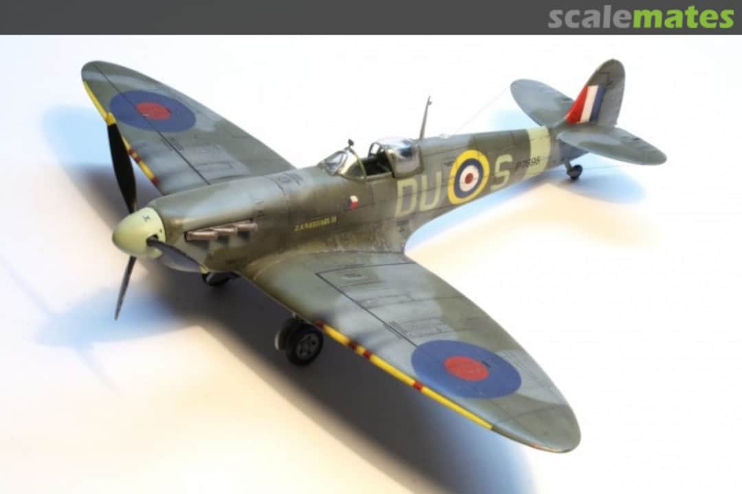 View album, image #1 View album, image #1