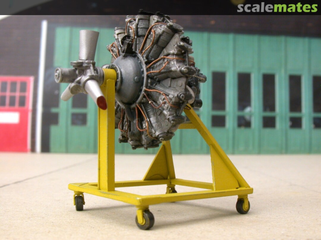 View album, image #9