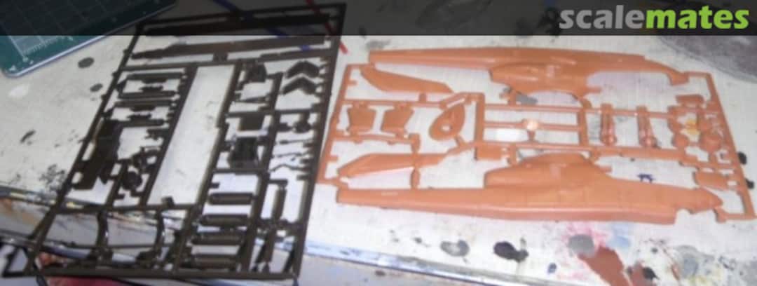 View album, image #1 View album, image #1