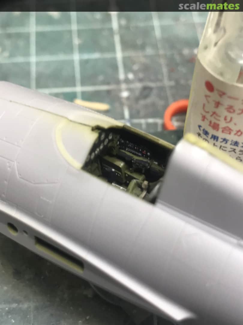 View album, image #3