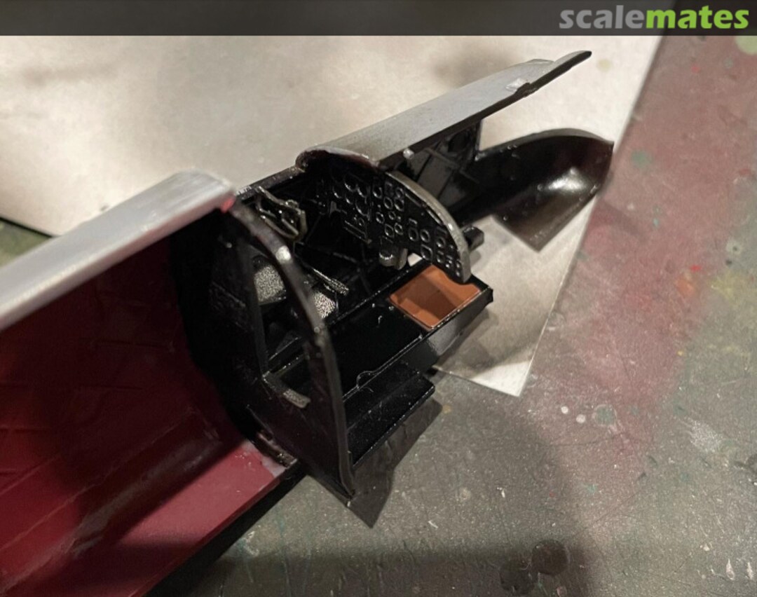 View album, image #1