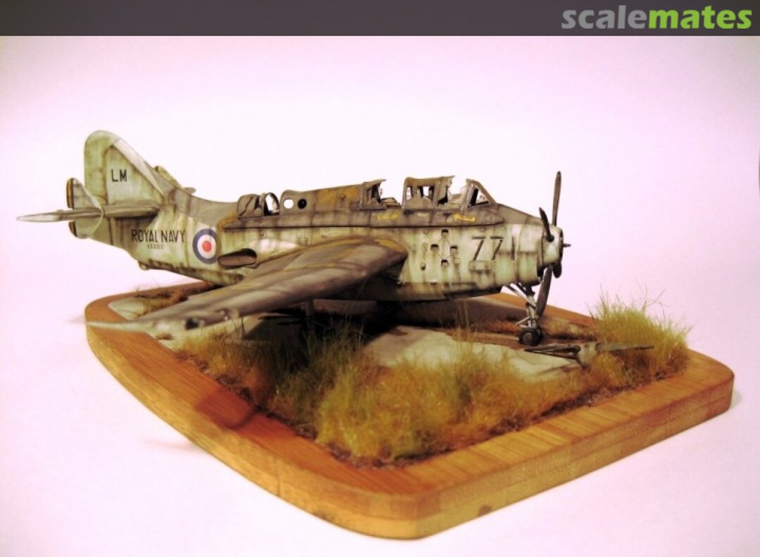 View album, image #1