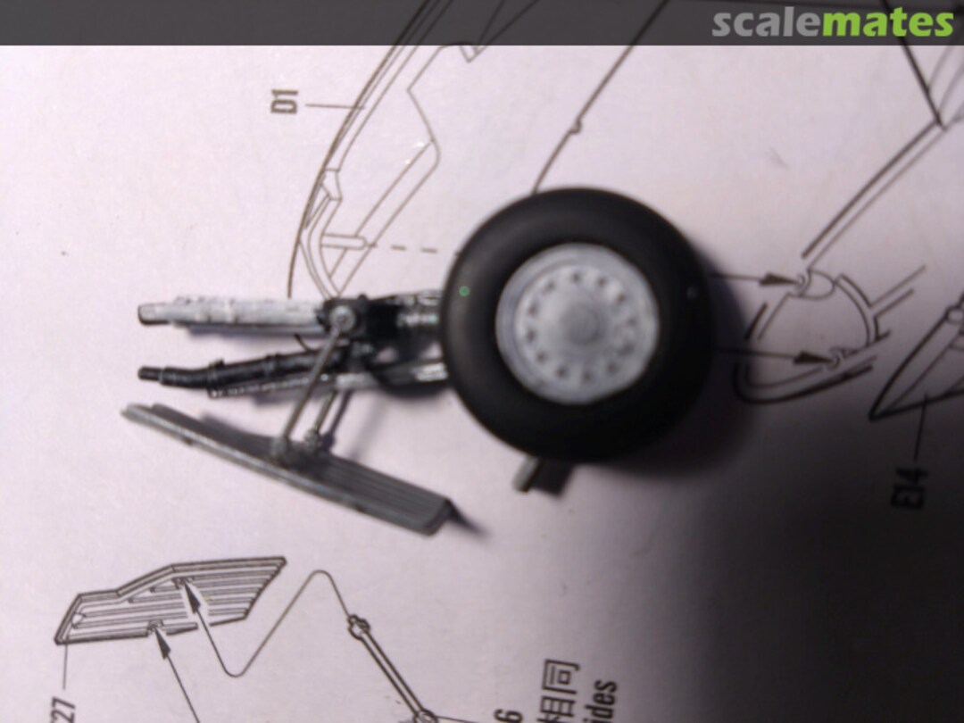 View album, image #1 View album, image #1