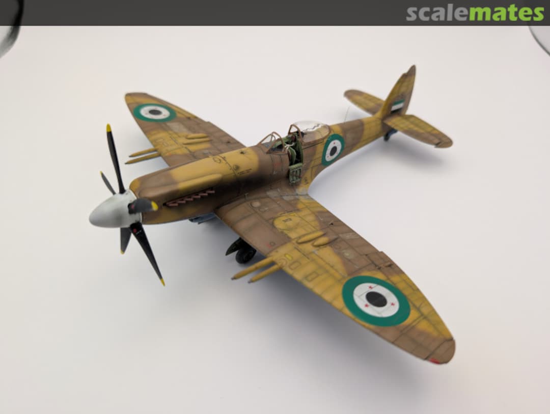 View album, image #1 View album, image #1