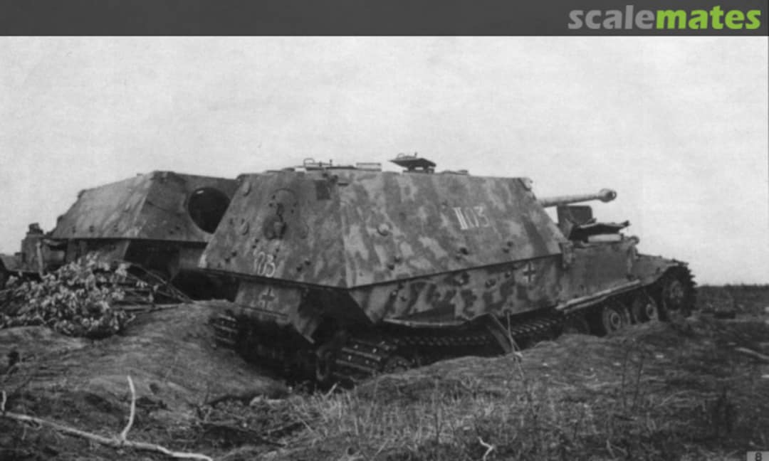 View album, image #1 View album, image #1