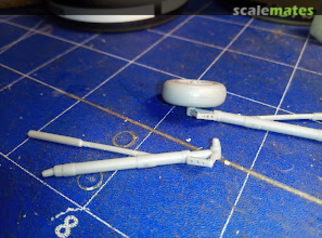 View album, image #8 View album, image #8