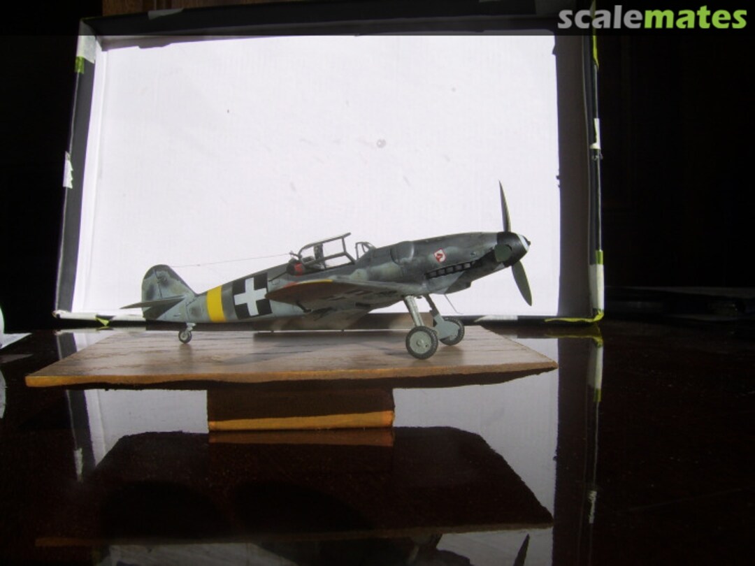 View album, image #1 View album, image #1