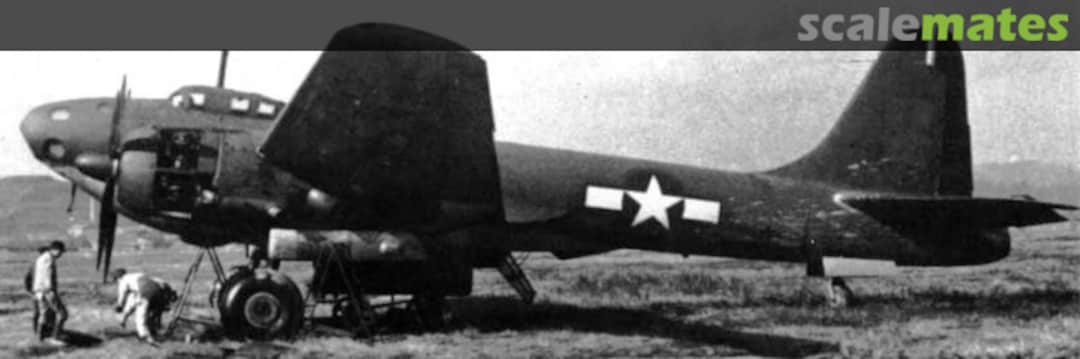 View album, image #1 View album, image #1