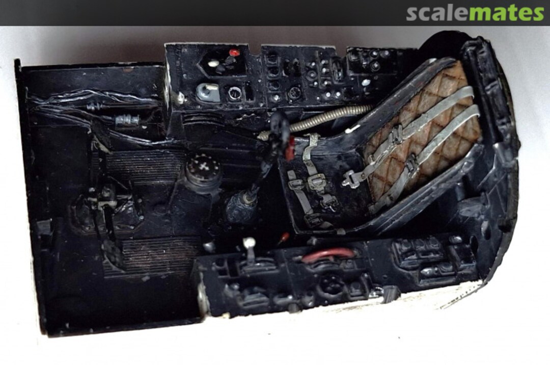 View album, image #3