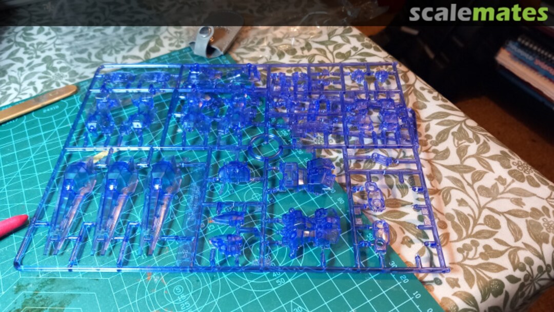 View album, image #1 View album, image #1