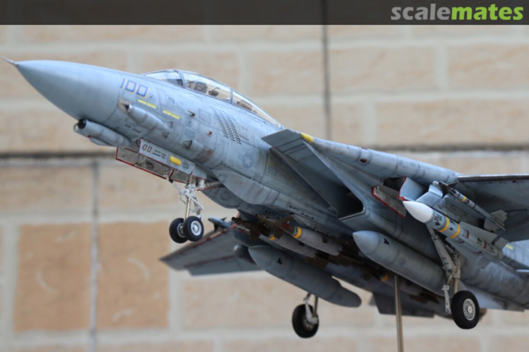 View album, image #10