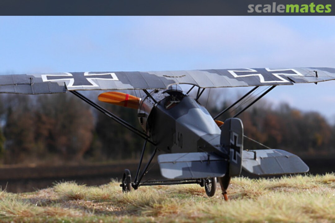 View album, image #10