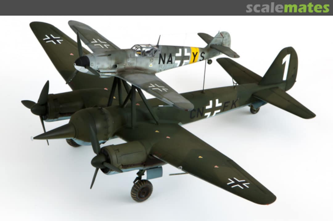 View album, image #1 View album, image #1