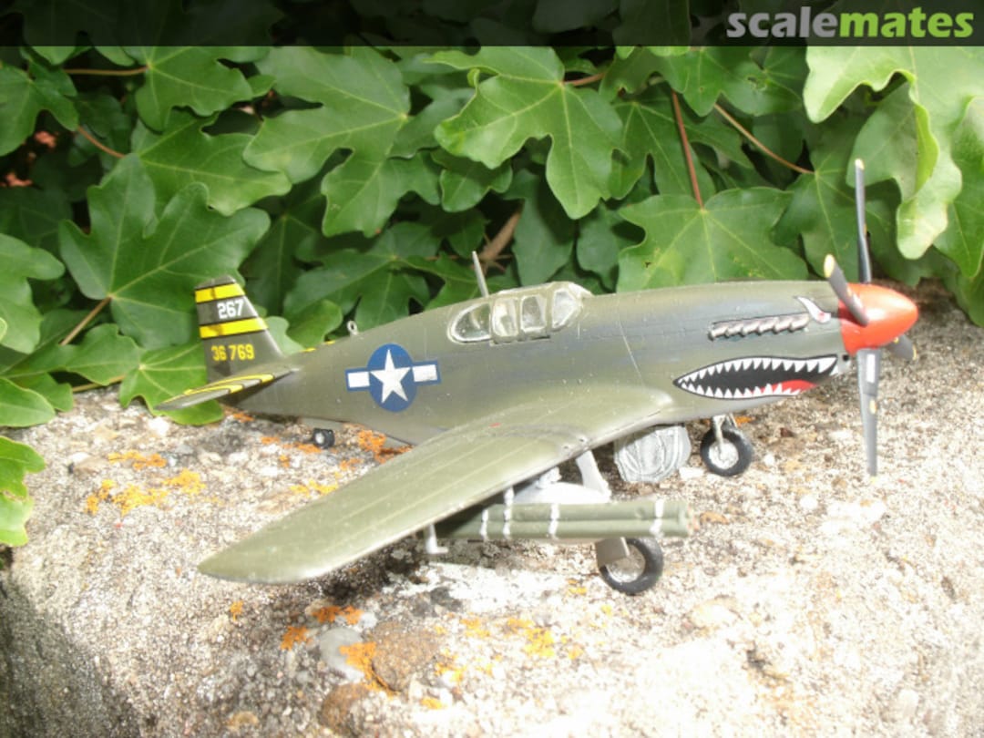 View album, image #1