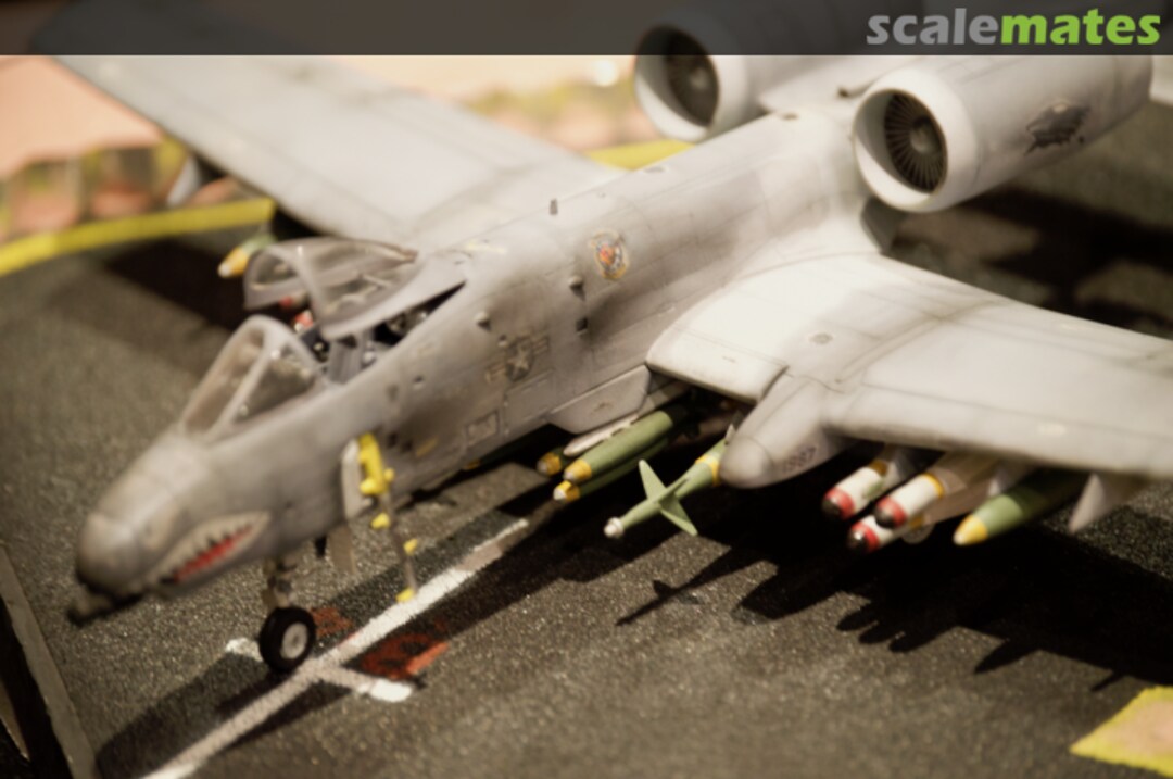 View album, image #1