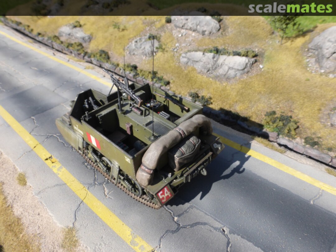 View album, image #1 View album, image #1