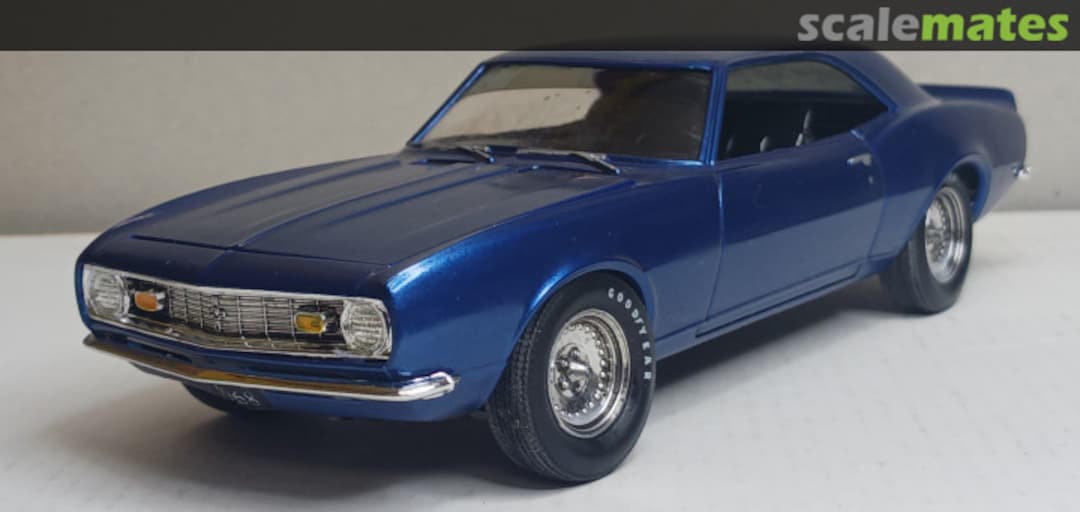 View album, image #12