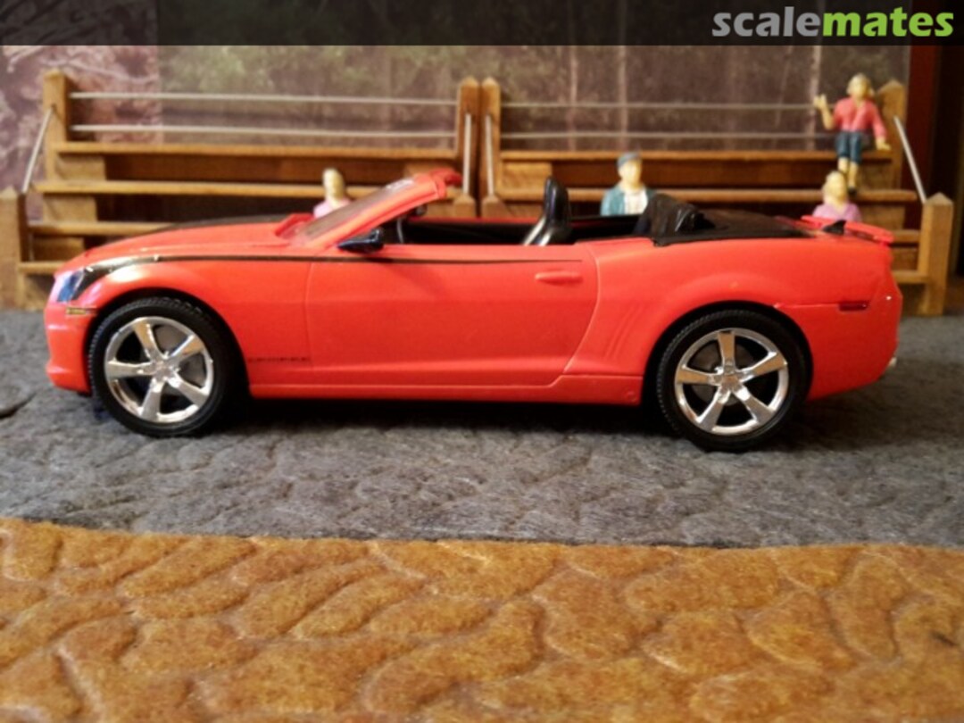 View album, image #1 View album, image #1