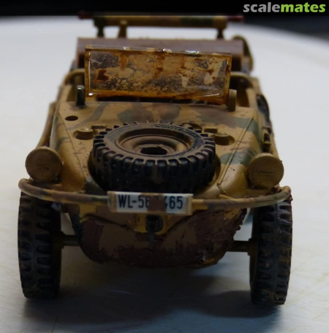 View album, image #7 View album, image #7