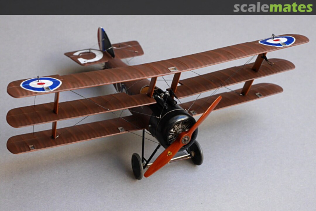 View album, image #191 View album, image #191