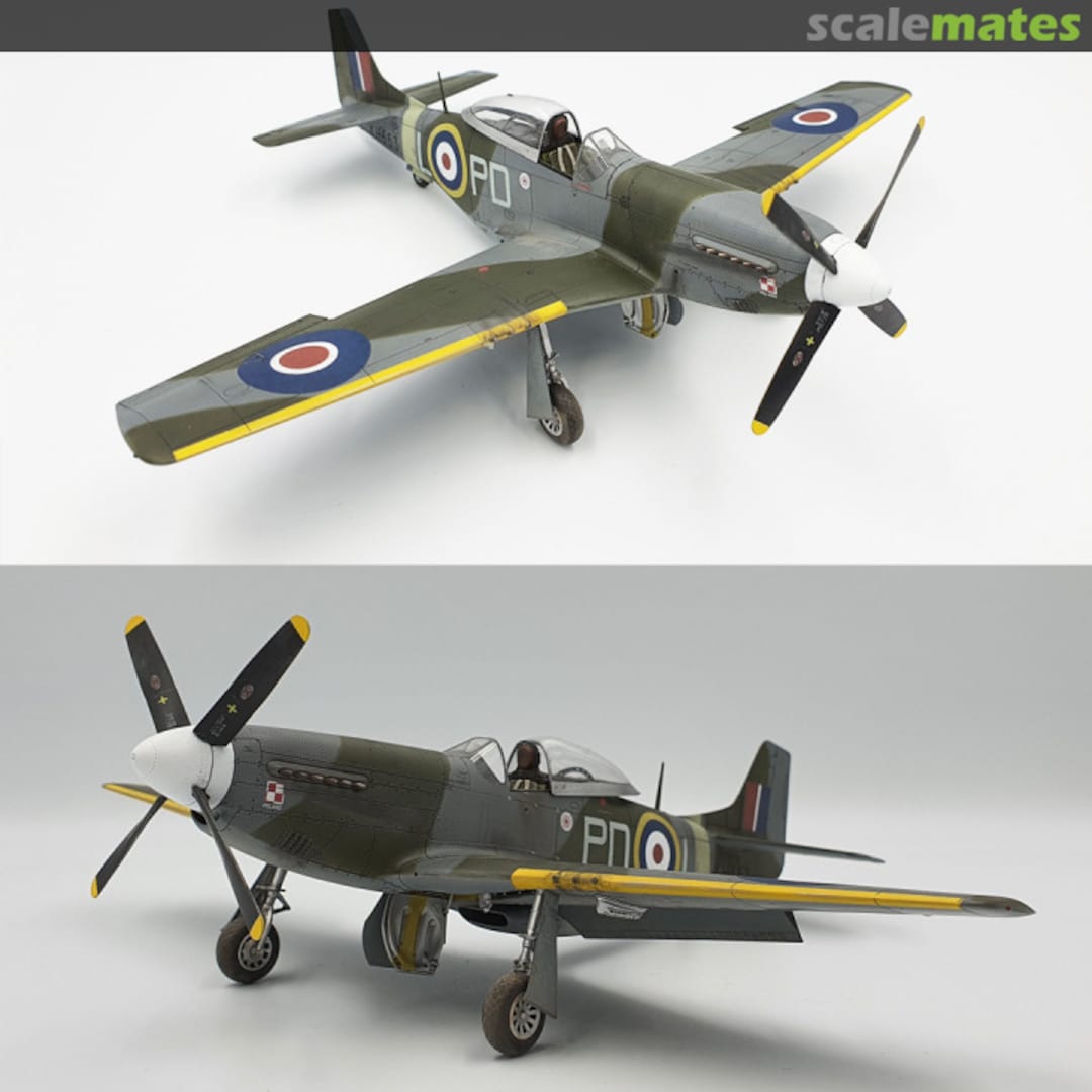 View album, image #1 View album, image #1