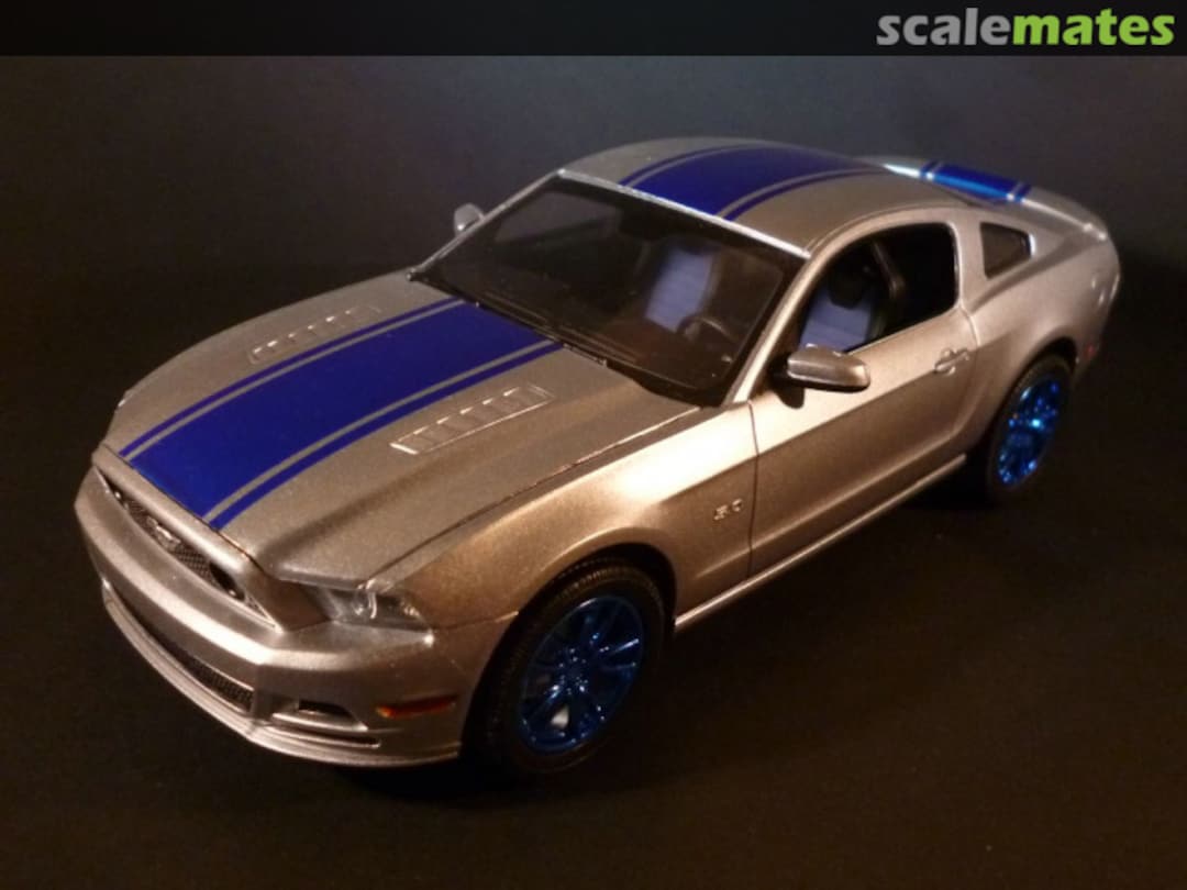 View album, image #1 View album, image #1