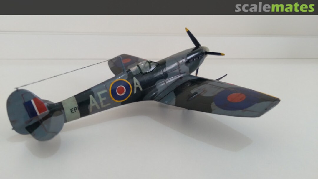 View album, image #1 View album, image #1