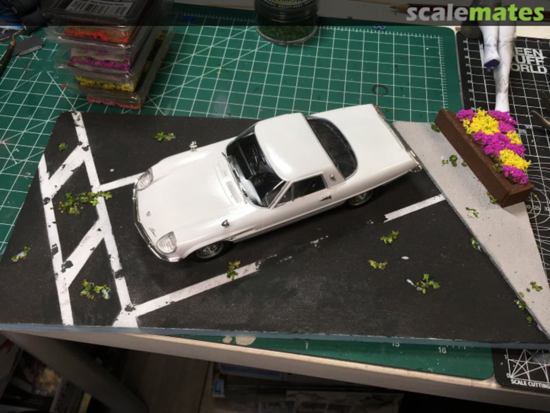 View album, image #24 View album, image #24