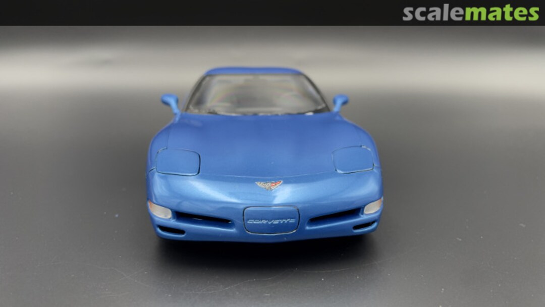 View album, image #1 View album, image #1