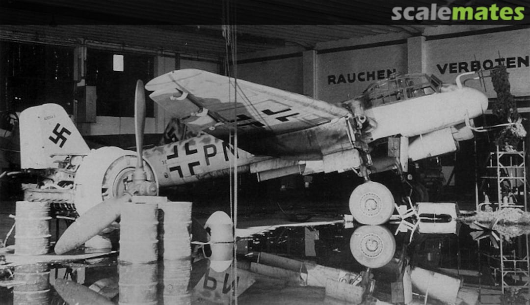 View album, image #1 View album, image #1