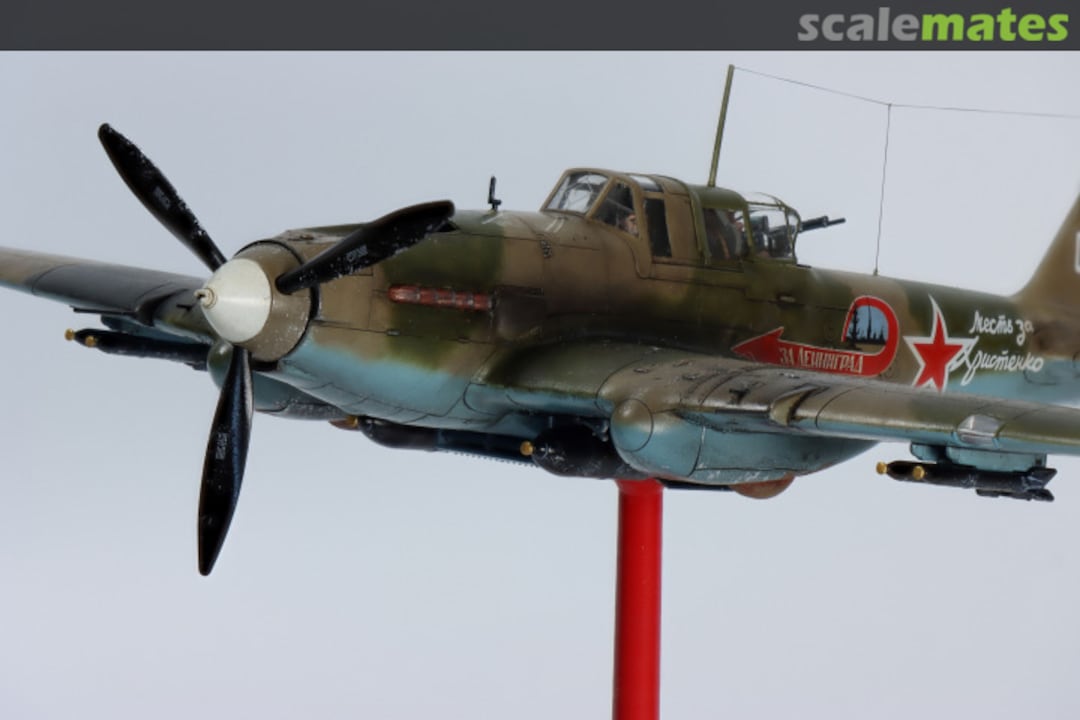 View album, image #1