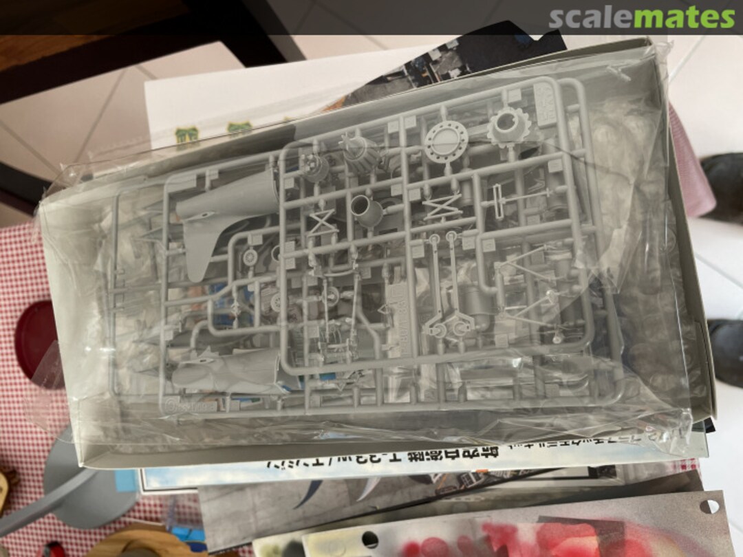 View album, image #1 View album, image #1