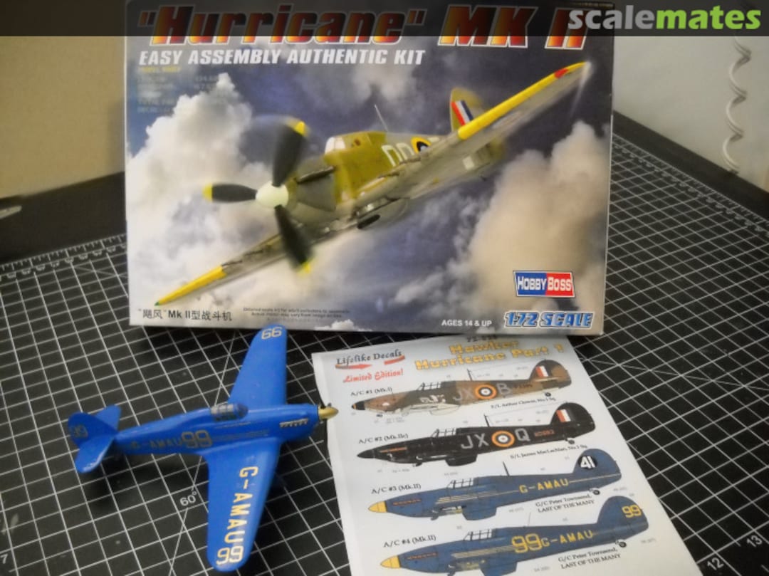 View album, image #1