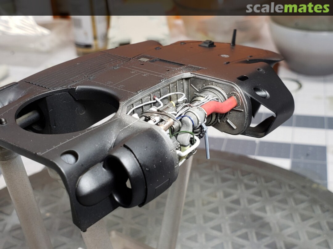 View album, image #1 View album, image #1