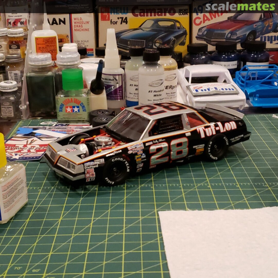 View album, image #1 View album, image #1