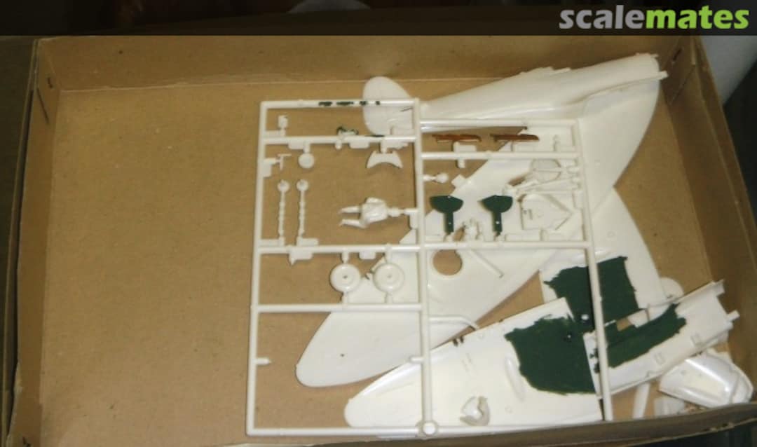 View album, image #1 View album, image #1