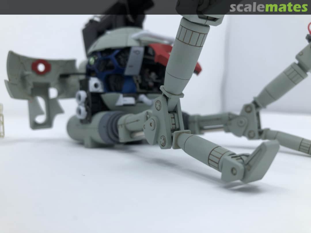 View album, image #1 View album, image #1