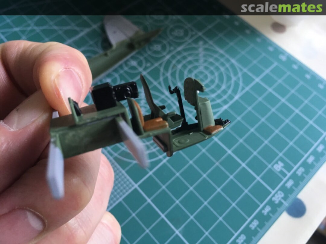 View album, image #1