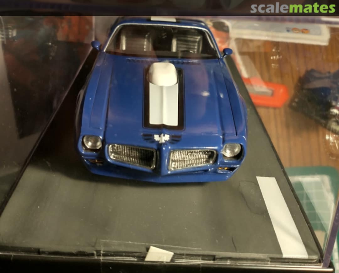 View album, image #41 View album, image #41