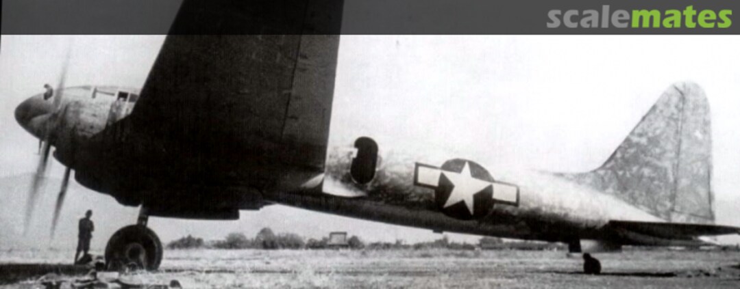 View album, image #1 View album, image #1