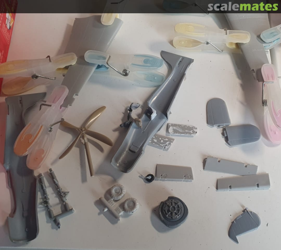 View album, image #1 View album, image #1