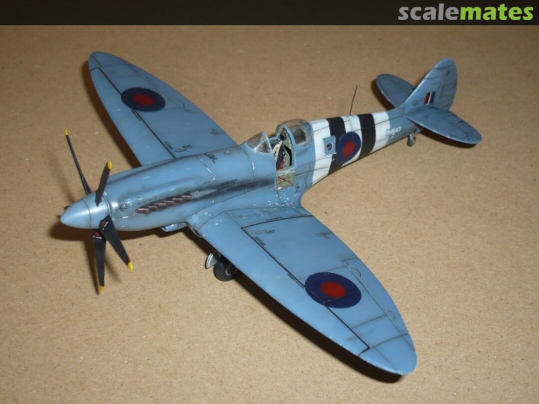 View album, image #1