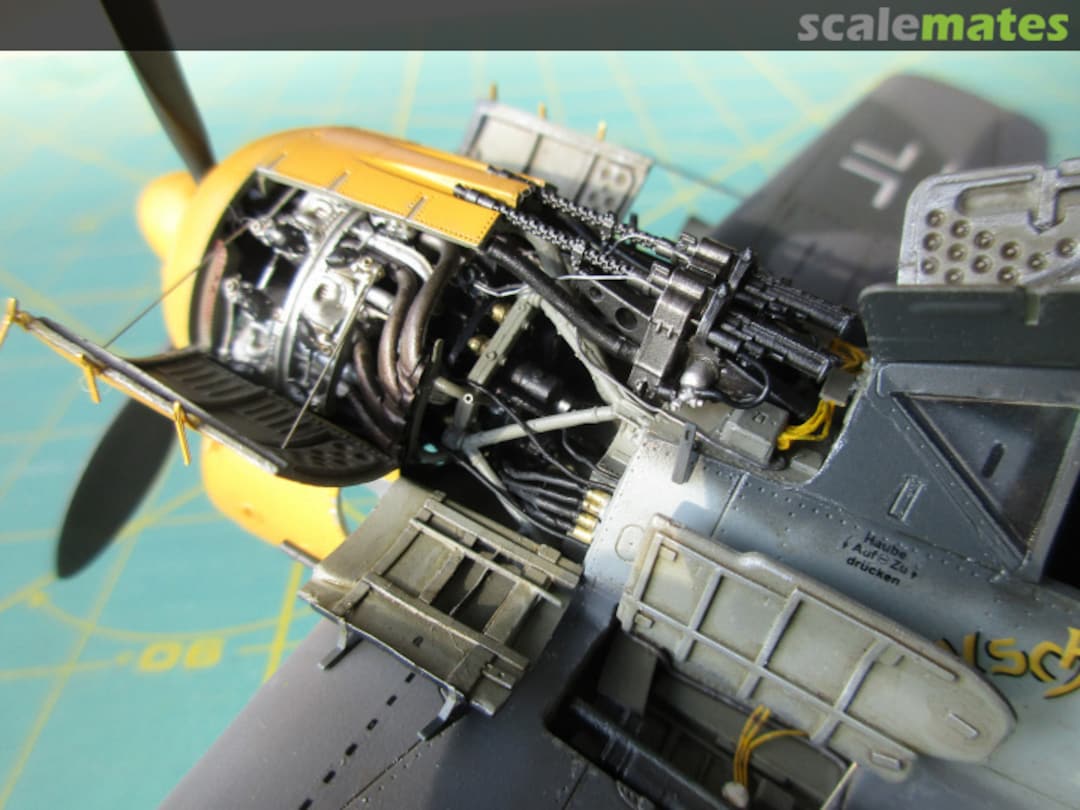 View album, image #14 View album, image #14