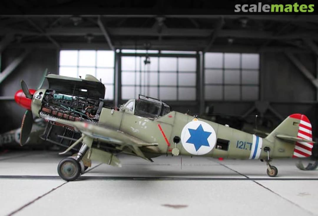 View album, image #1 View album, image #1