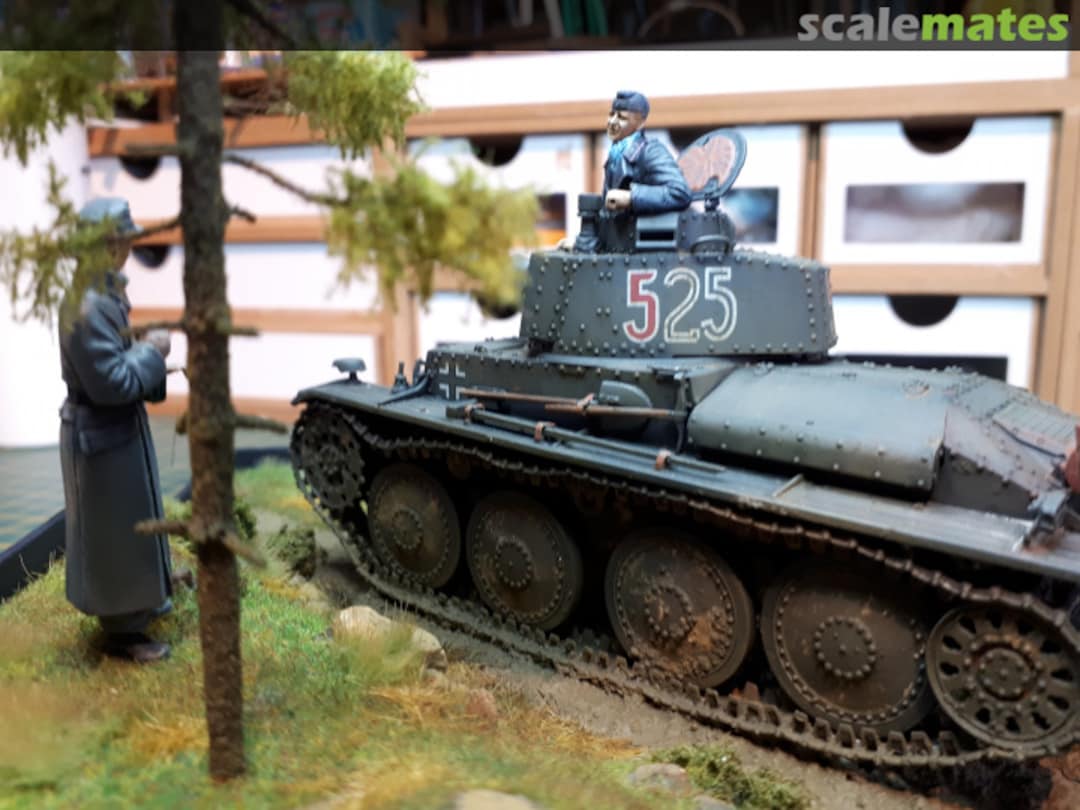 View album, image #1 View album, image #1